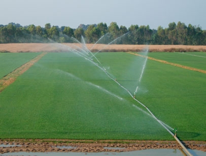 Canhões de Rega Rossi