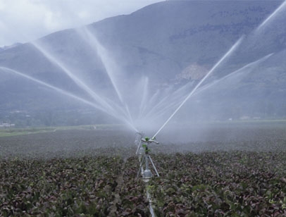 Canhões de Rega Rossi